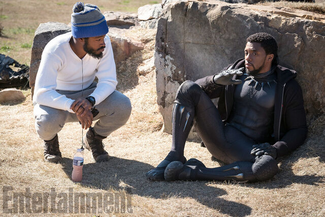 File:Black Panther photography 17.jpg
