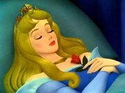Briar Rose