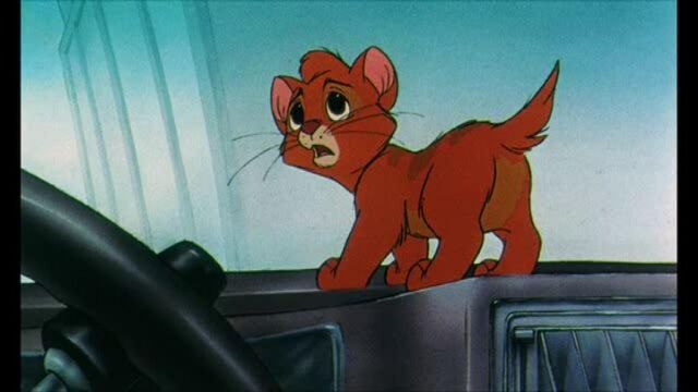 File:Oliver is scared and curious as to who or what is sitting at the back of the limo.jpg