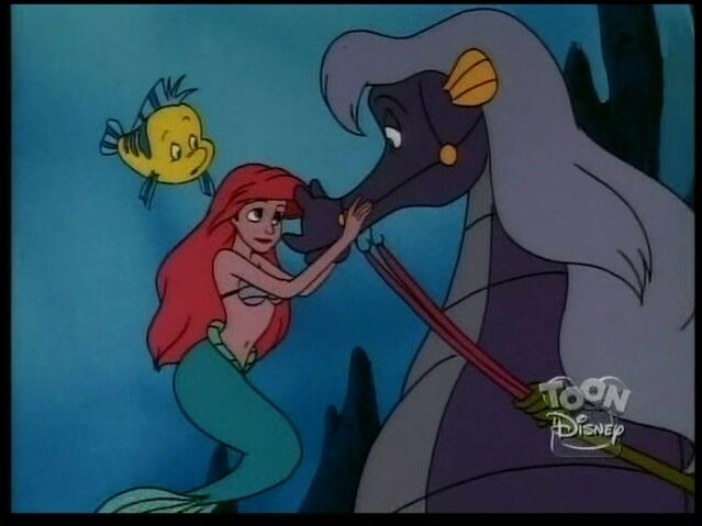 File:StormySeahorse102.jpg