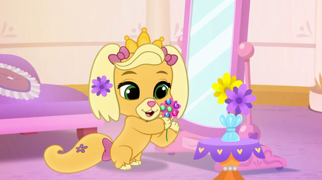 File:Slipper-Sparkle-004.jpg