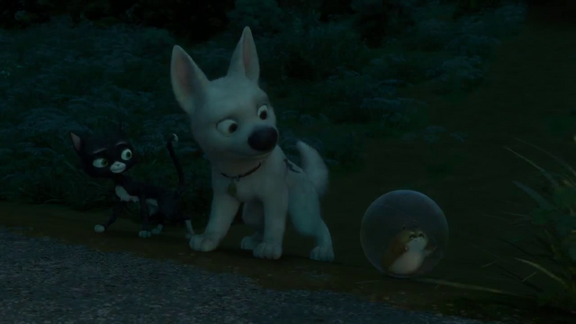 File:Vlcsnap-2015-08-23-17h39m36s546.png