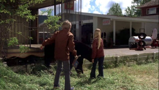 File:Escape-to-witch-mountain-disneyscreencaps.com-7904.jpg