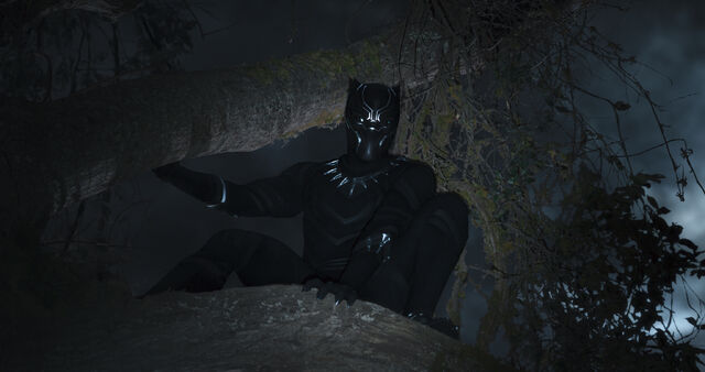File:Black Panther (film) 14.jpg