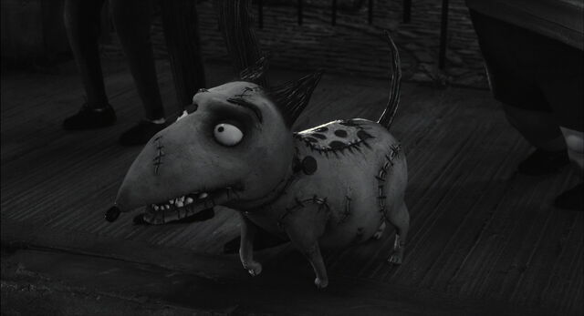 File:Frankenweenie-disneyscreencaps.com-7887.jpg