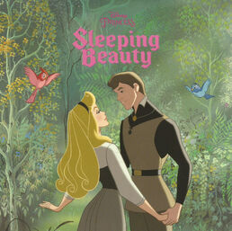 Sleeping Beauty front wonderful.jpg