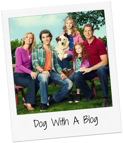 File:DWAB Polar.png