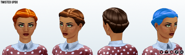 File:Career - Twisted Updo.png