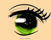 IMobsessedwitheyeballs2014