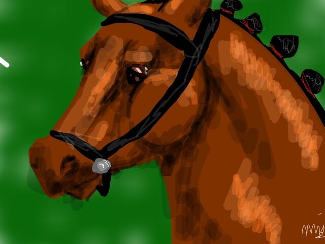 File:Dressage Champ.jpg