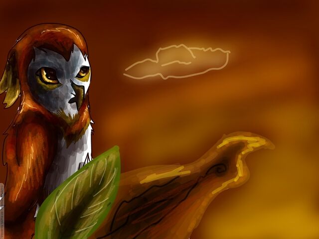 File:Disney-Create-star-cat-For-ILM517-Sunset.jpg