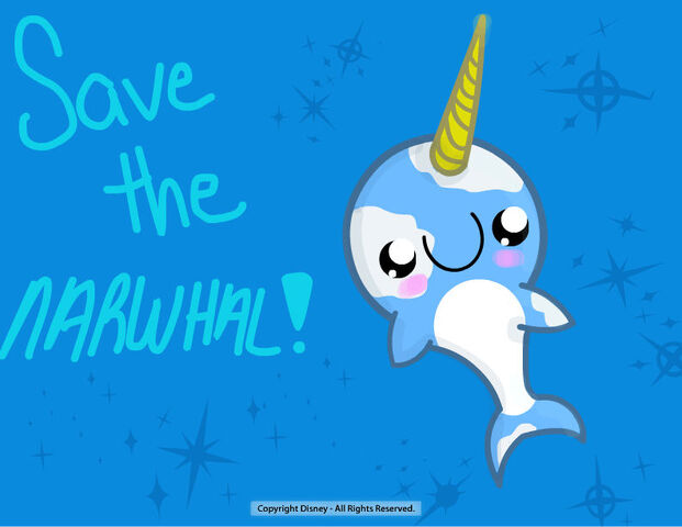 File:Narwhale!.jpg