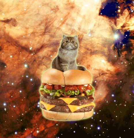 File:445wkiwa5jk6ksw5kie4.gif