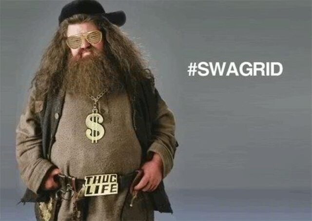 File:Swagrid.jpg