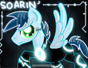 Epic Soarin'