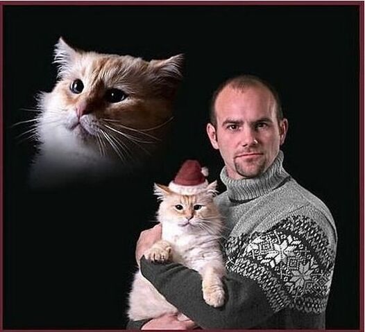File:Awkward-christmas-card-photos--large-msg-132408095581.jpg