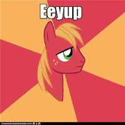 File:EEEYYYUUUPPP.jpg