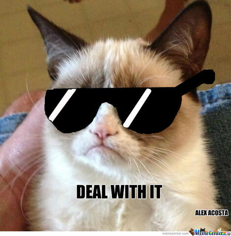 File:Grumpy-cat-deal-with-it o 1296093.jpg