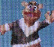 Fozzie. Bear