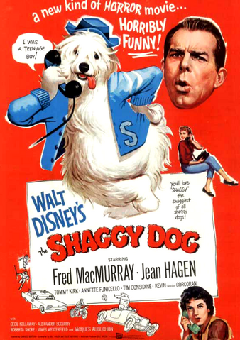 File:The Shaggy Dog.png