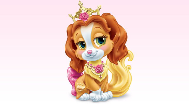 File:175f0e172dface95fb7f9550433587e85faf0712.jpg