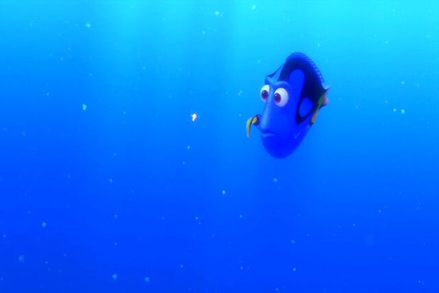 File:Findingnemo0552.jpg