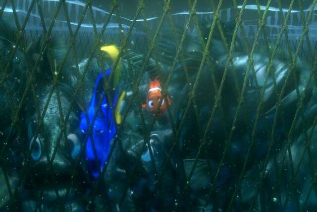 File:Findingnemo1048.jpg
