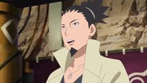 Shikamaru Epilogue