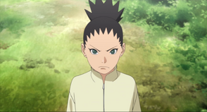 Nara Shikadai