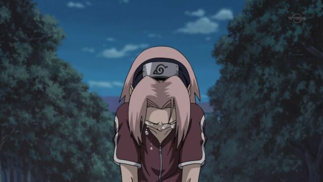 File:Naruto Shippuuden 212-224.jpg