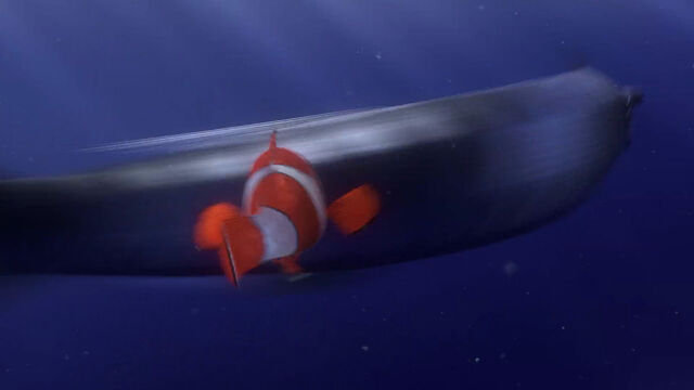 File:Finding-nemo-disneyscreencaps com-292.jpg