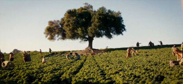File:Amity Farming the Land.jpg