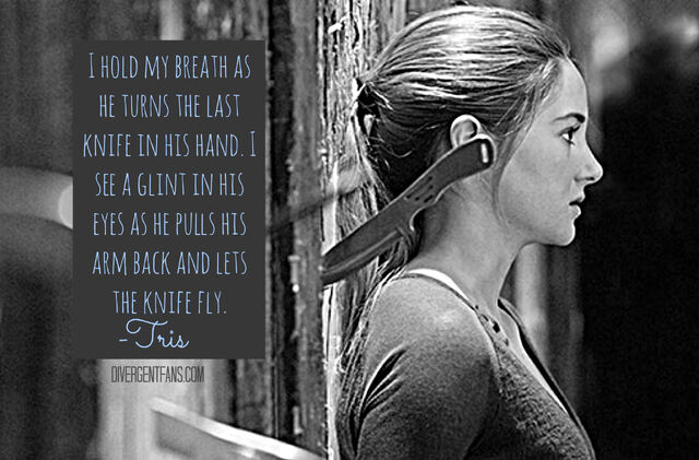 File:DivergentTrisWallpaper2.jpg
