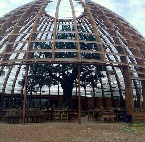 Fichier:Insurgent Tournage 12.jpg