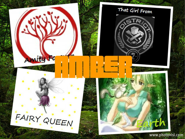 File:Collage amber.jpg