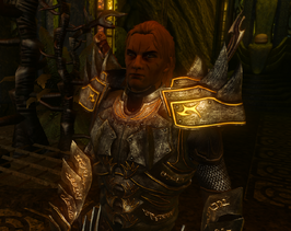 Divinity 2 Rayhun