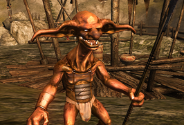 Divinity 2 Alrik