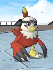 File:Hawk.jpg.jpg