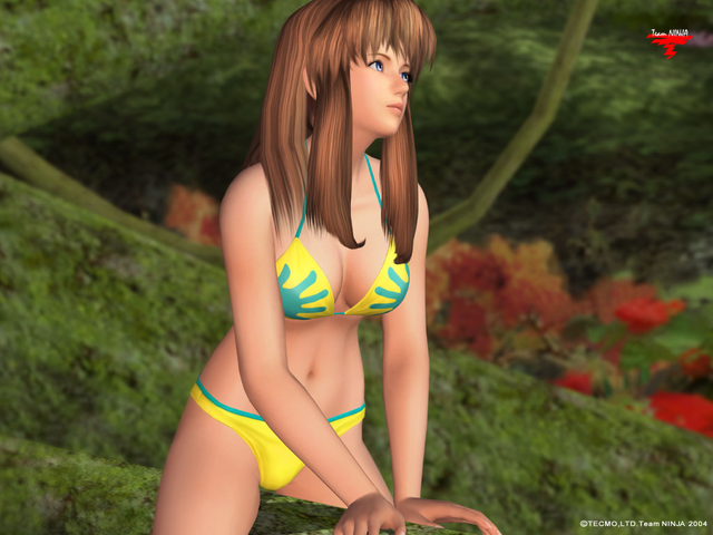 File:Vlcsnap-2009-12-26-21h45m37s53.png