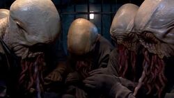 Unprocessed Ood.jpg
