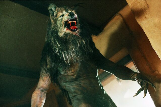 File:Werewol.jpg