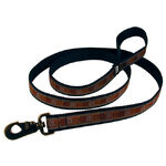 Pet leash
