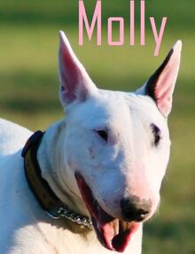 Molly