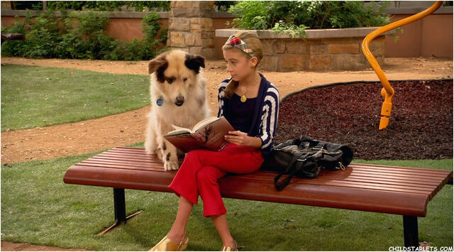 File:Book hog.jpg