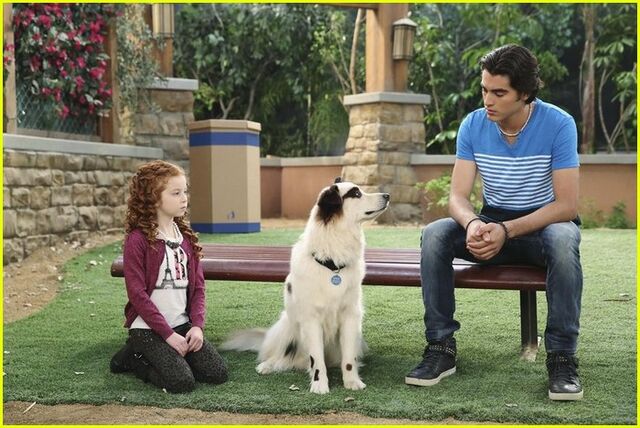 File:Dog-blog-makeovers-max-stan-stills-06.jpg