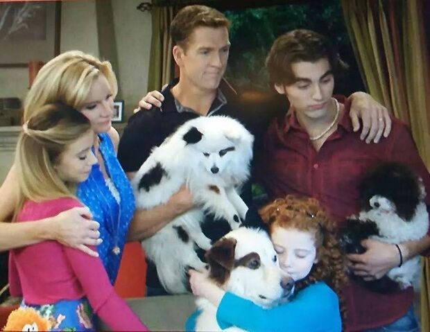 File:Family & Puppies.jpg