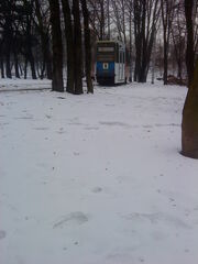 DSC00134.jpg