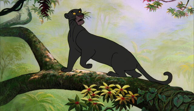 Archivo:Bagheraa 4.jpg