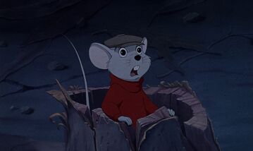 Bernardo 1.jpg