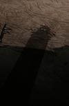 Shadow Watcher.png